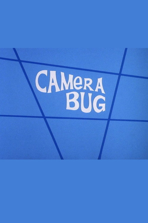 Movie poster for Camera Bug (1972)