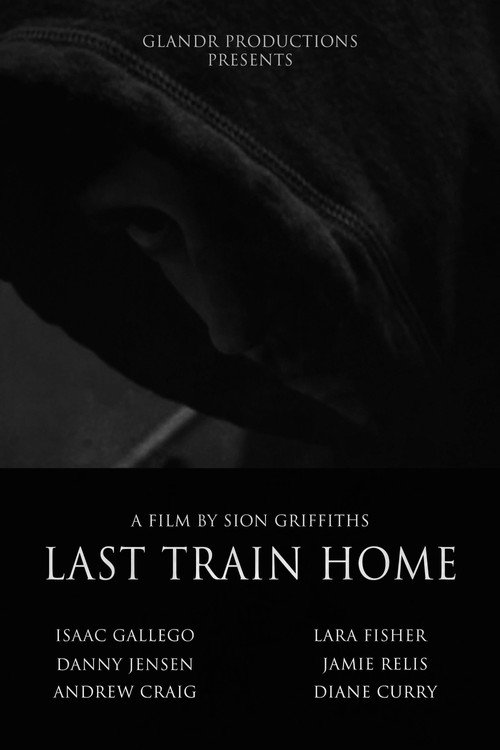 Movie poster for Last Train Home (2008)