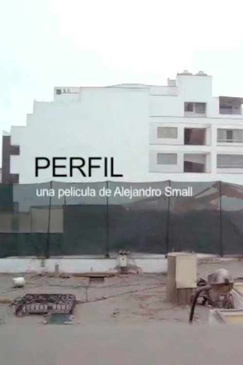 Movie poster for Perfil (2014)