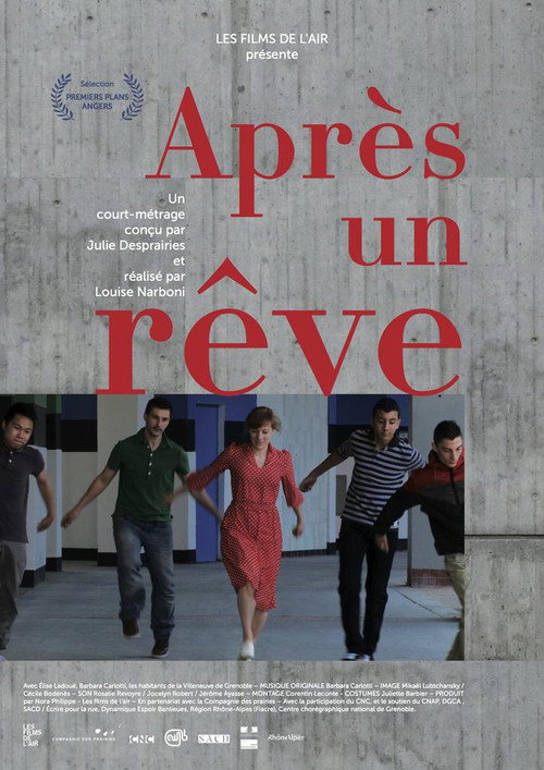 Movie poster for After a Dream (2013)