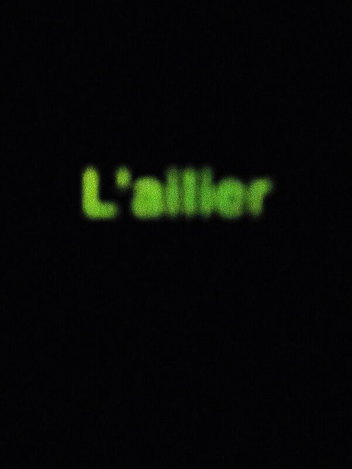 Movie poster for L'ailier (2024)
