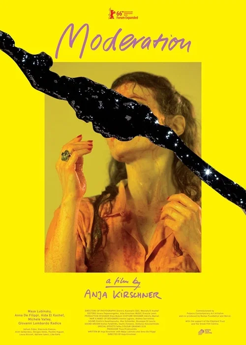 Movie poster for Moderation (2016)