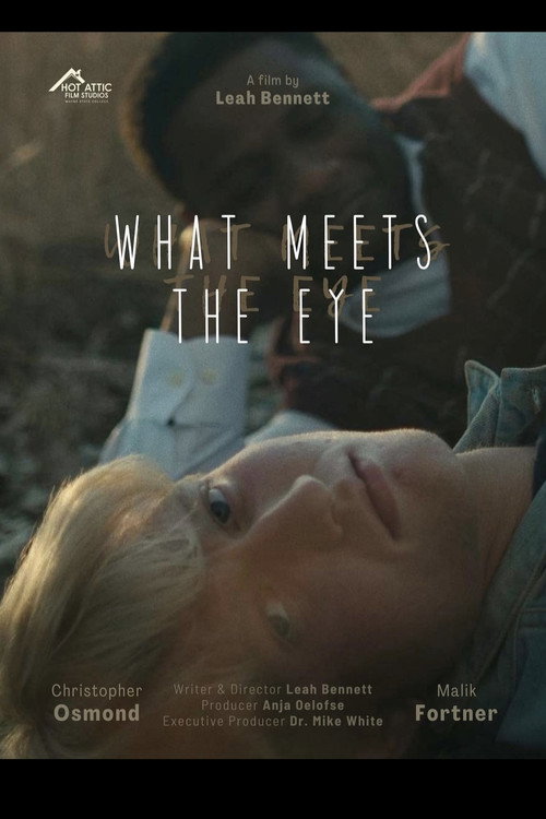 Movie poster for What Meets The Eye (2024)