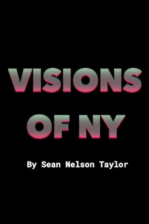 Movie poster for VISIONS_OF_NY (2019)
