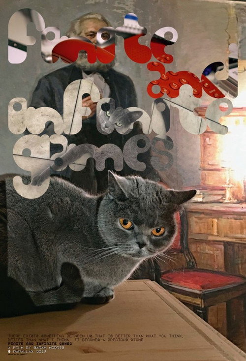 Movie poster for Finite and Infinite Games