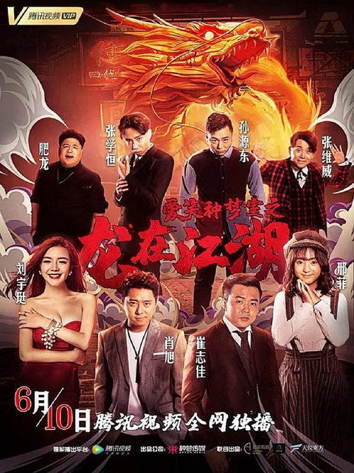 Movie poster for 爱笑种梦室之龙在江湖 (2019)