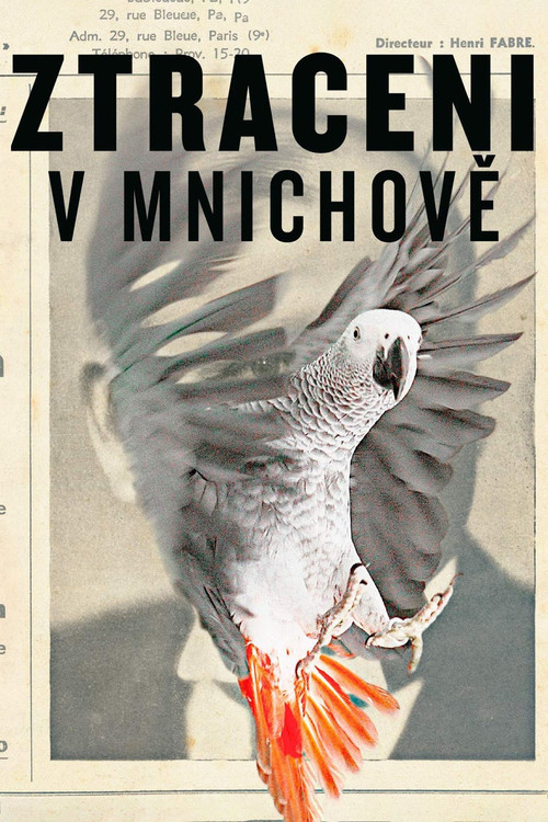 Movie poster for Lost in Munich (2015)