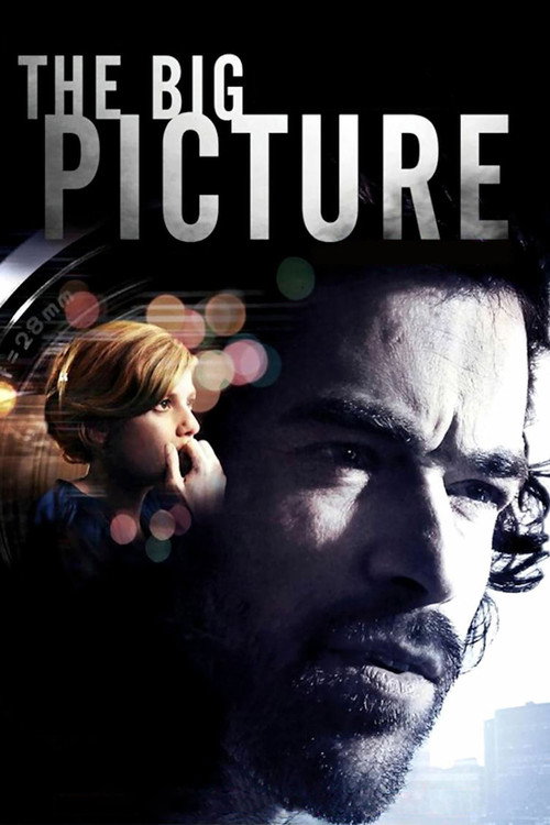 Movie poster for The Big Picture (2010)