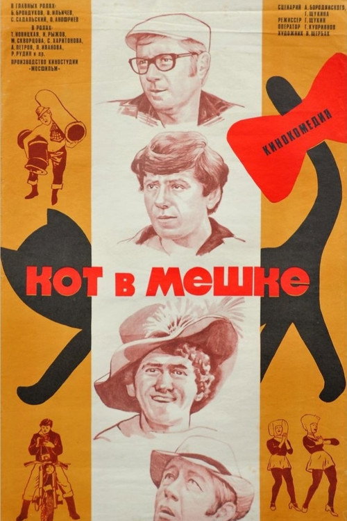 Movie poster for The Cat in the Bag (1979)