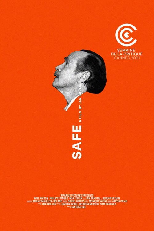Movie poster for Safe (2021)