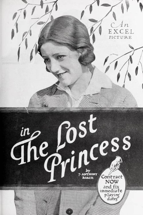 Movie poster for The Lost Princess (1919)