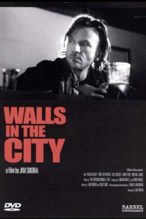 Movie poster for Walls in the City (1994)