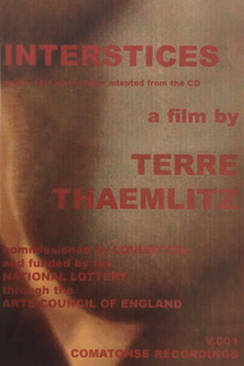 Movie poster for Interstices (2001)