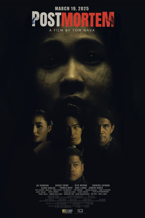 Movie poster for PostMortem (2025)