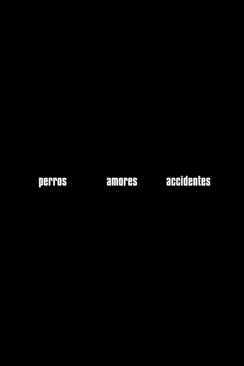 Movie poster for Perros, amores, accidentes (2020)