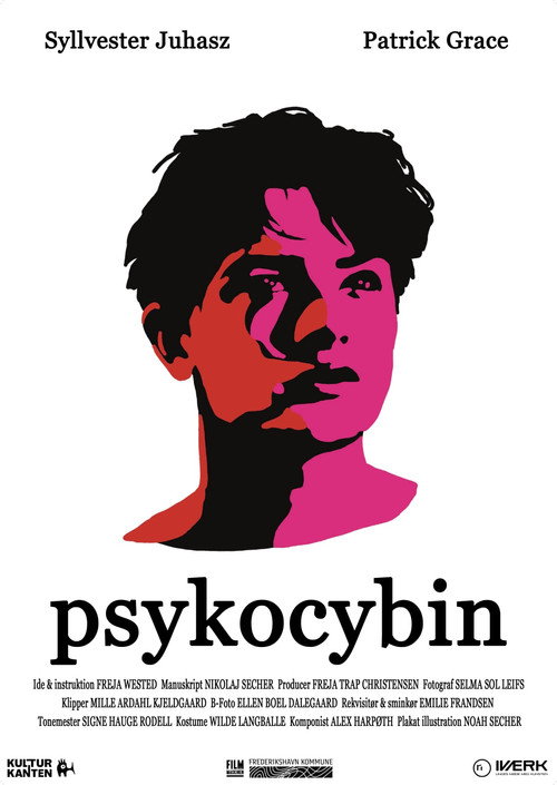 Movie poster for Psykocybin (2024)