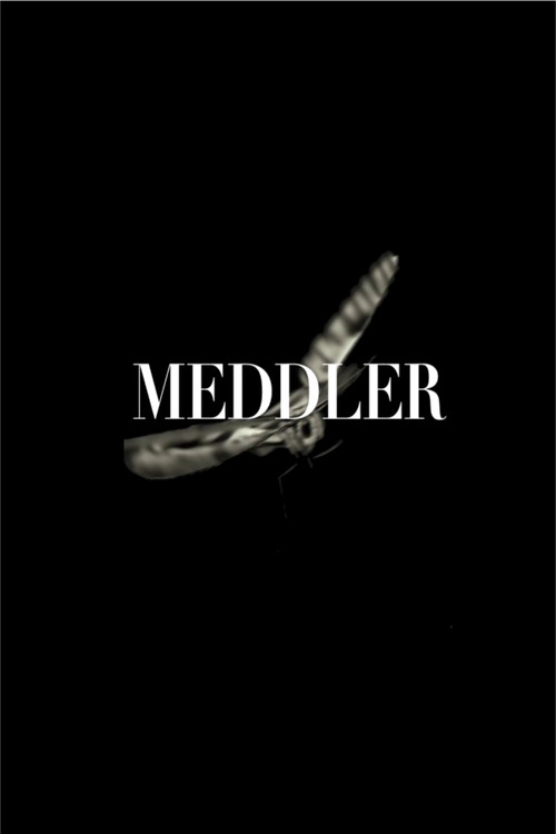 Movie poster for Meddler (2011)