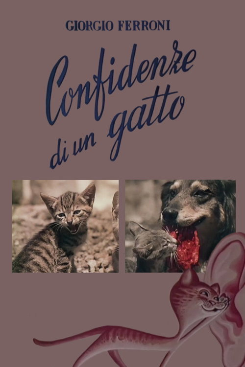 Movie poster for Confidenze di un gatto (1953)