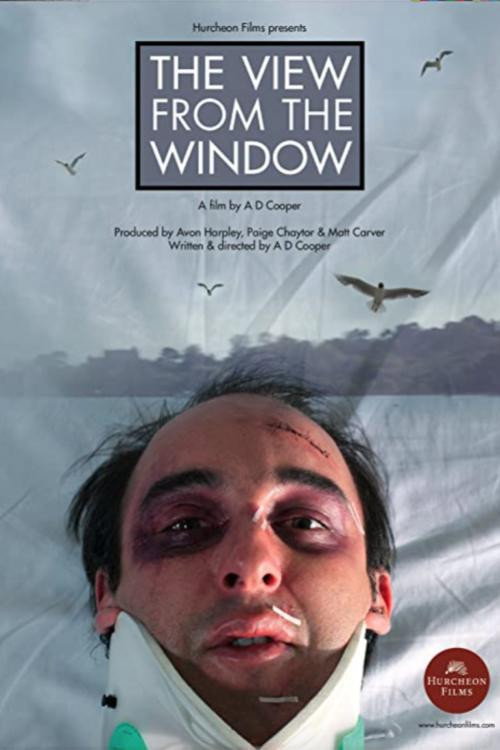 Movie poster for The View From The Window (2012)