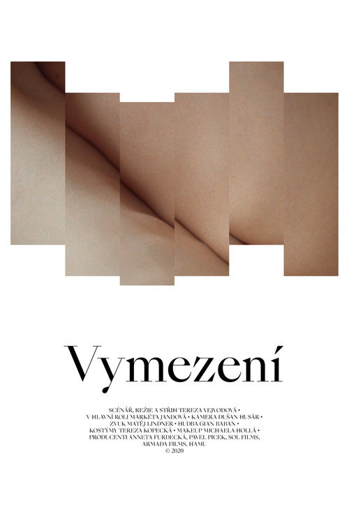 Movie poster for Delimitation (2021)