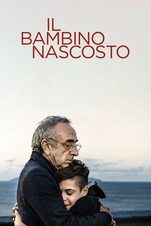 Movie poster for The Hidden Child (2021)