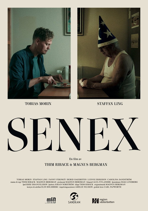 Movie poster for Senex