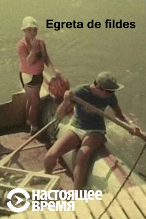 The Ivory Aigrette poster