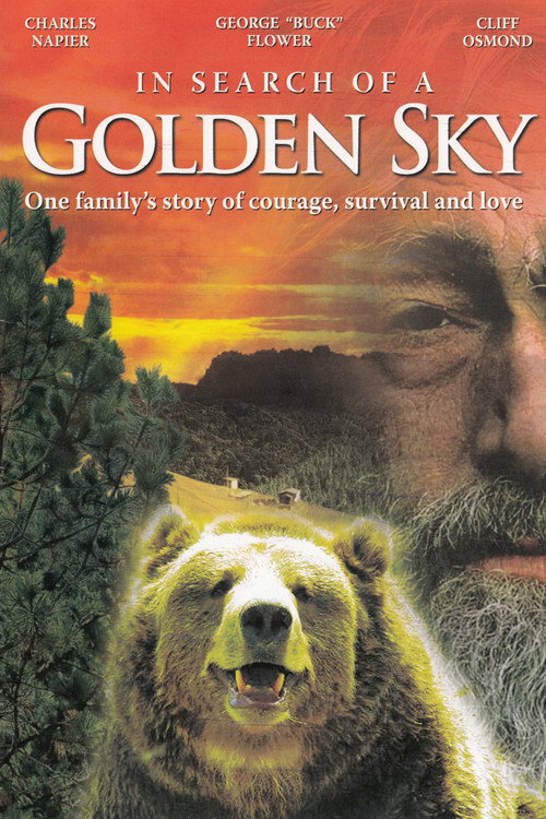Movie poster for In Search of a Golden Sky (1984)