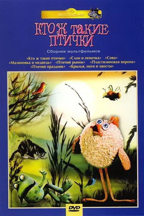 Movie poster for What Are Birds, Anyway? (1979)