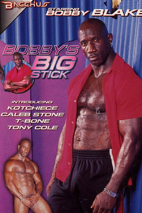 Movie poster for Bobby's Big Stick (2000)