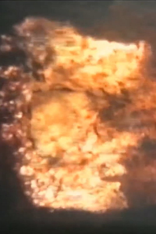 Movie poster for Echoes (1979)