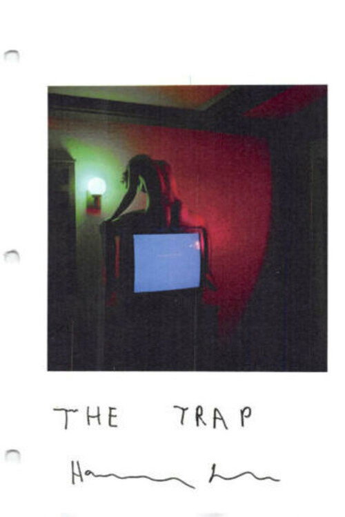 Movie poster for The Trap