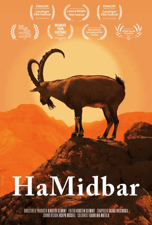 Movie poster for HaMidbar (2023)
