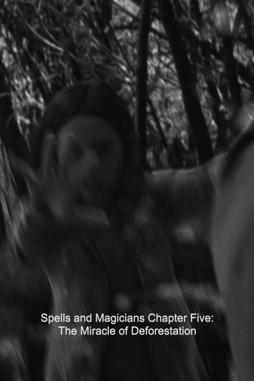 Movie poster for Spells and Magicians Chapter Five: The Miracle of Deforestation (2015)