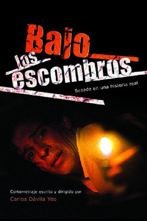 Movie poster for Bajo los escombros (2005)
