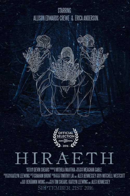 Movie poster for Hiraeth (2016)