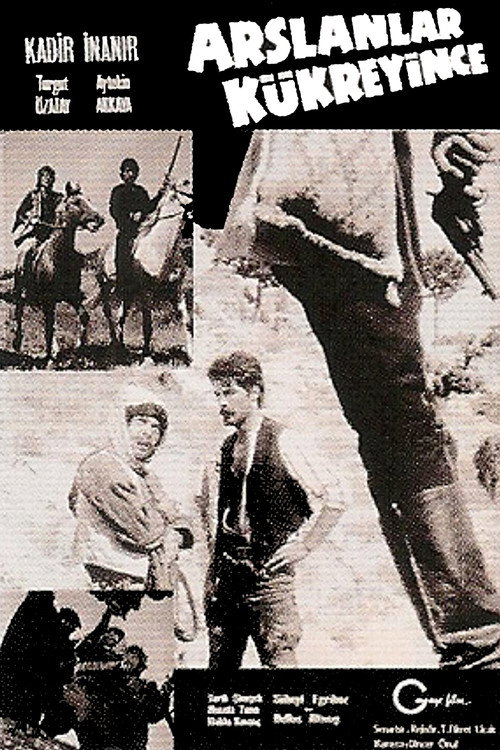 Movie poster for Aslanlar Kükreyince (1971)