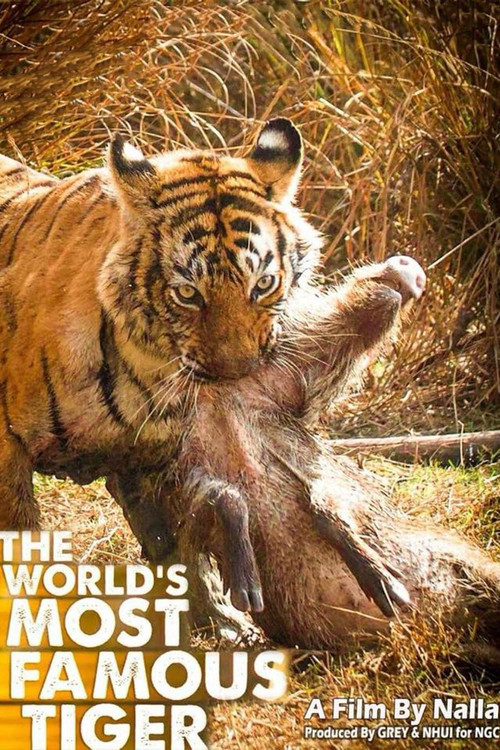 Movie poster for The World's Most Famous Tiger (2017)