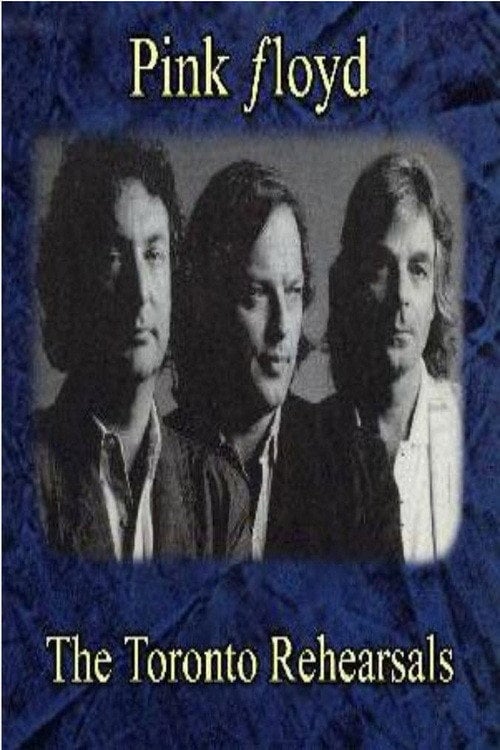 Movie poster for Pink Floyd: Hangar Rehearsals (1987)