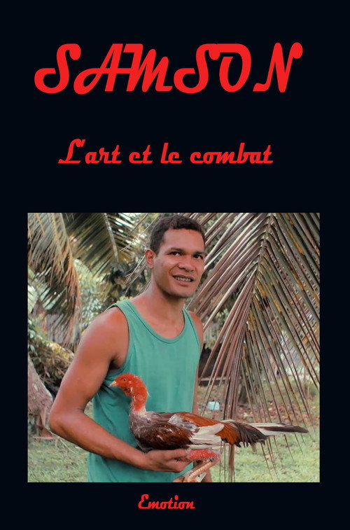 Movie poster for Samson art and combat (2017)