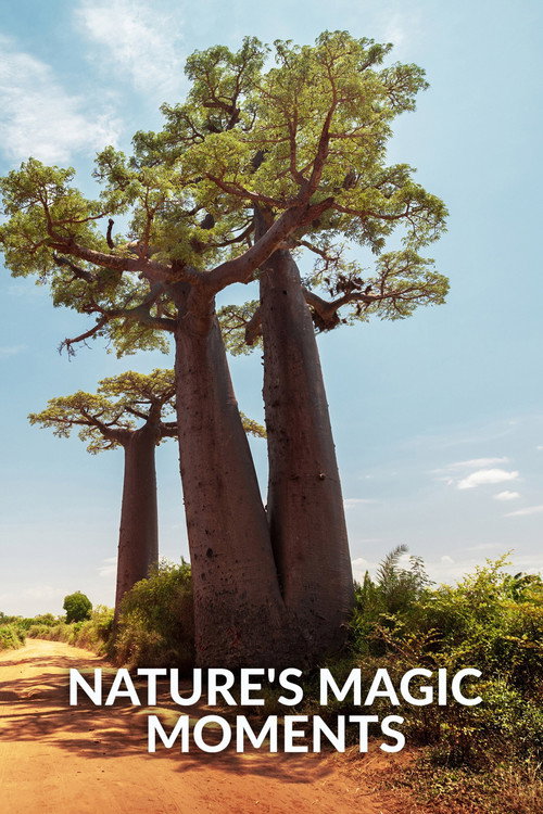 Movie poster for Nature's Magic Moments (2022)
