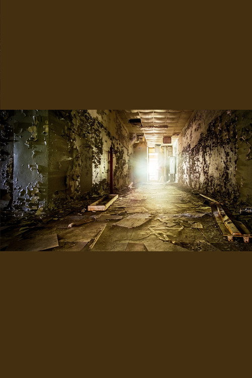 Movie poster for Rückkehr nach Tschernobyl - Das Leben nach dem Super-GAU (2020)