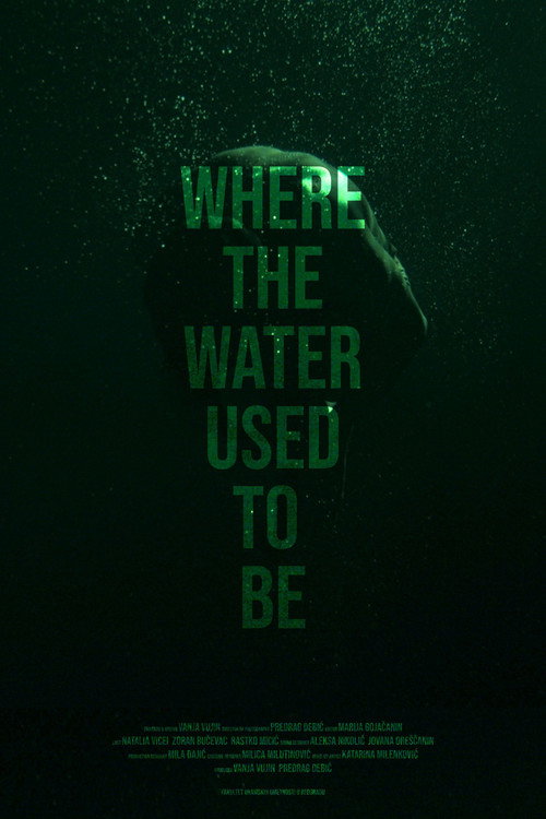 Movie poster for Where the Water Used to Be (2026)
