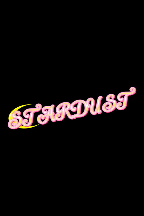 Movie poster for Stardust