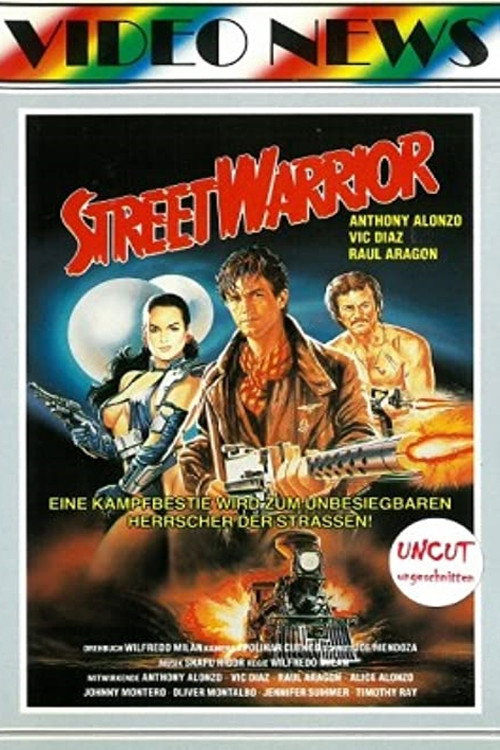 Movie poster for Revenge of the Street Warrior (1987)