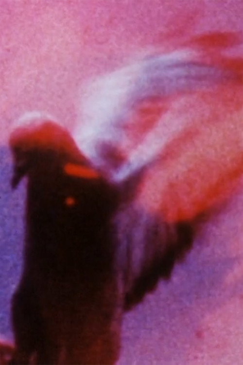 Movie poster for Long Eyes of the Earth (1991)