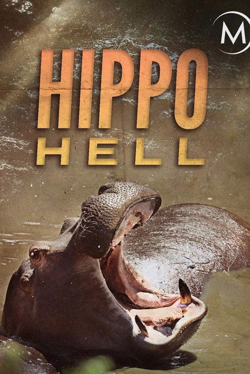 Movie poster for Hippo Hell (2007)