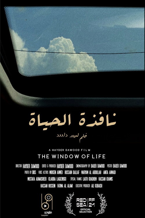 Movie poster for The Window of Life (2021)