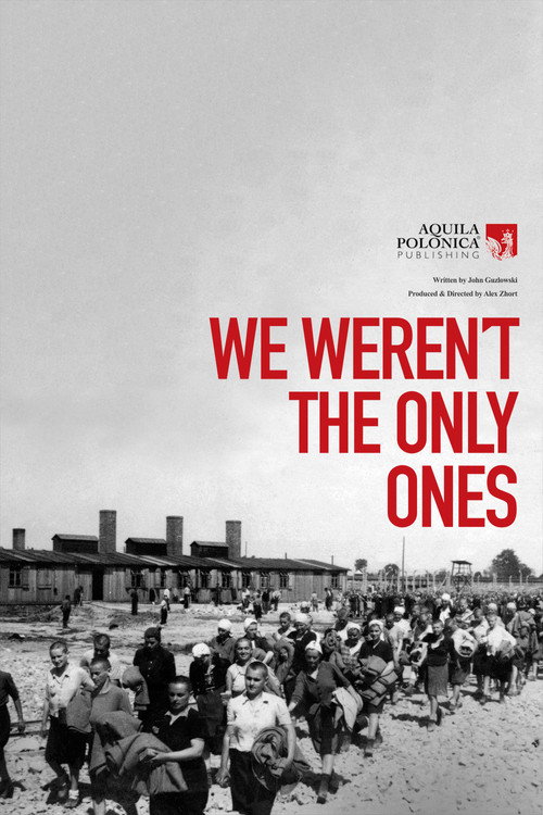 Movie poster for We Weren't The Only Ones (2020)