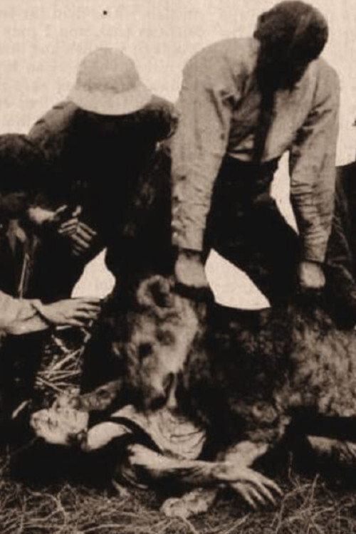 Movie poster for Alone in the Jungle (1913)